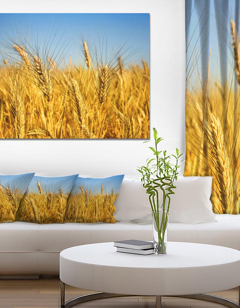 DesignQ Bright Golden Wheat Field - Landscape Wall Art Print Canvas