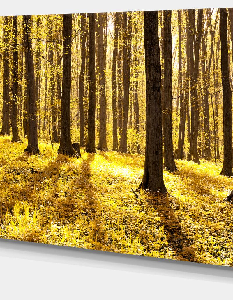 DesignQ Bright Green Forest At Sunset - Modern Forest Canvas Art