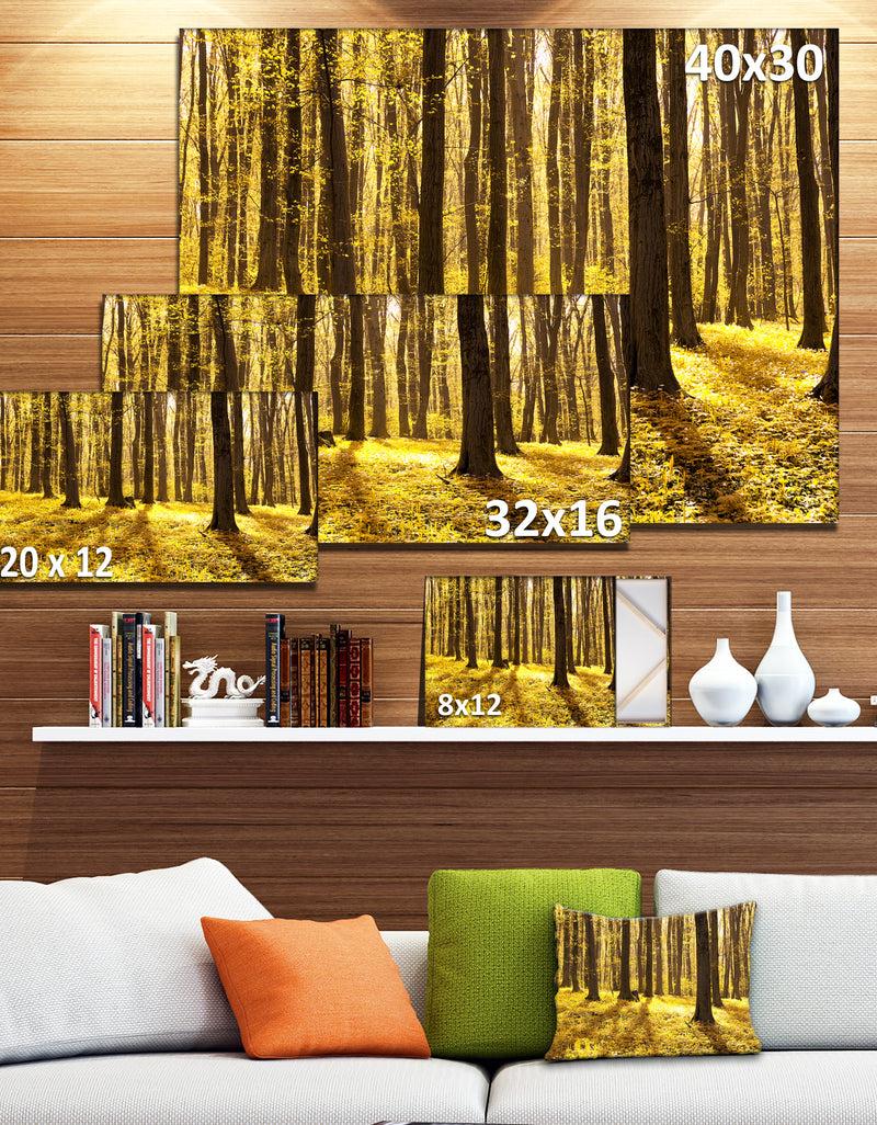 DesignQ Bright Green Forest At Sunset - Modern Forest Canvas Art