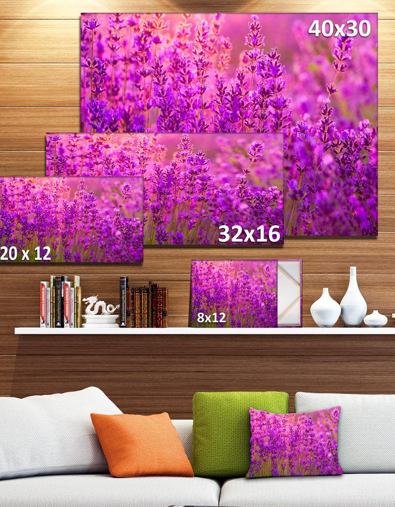 DesignQ Bright Purple Lavender Field Tihany - Large Floral Canvas Art Print