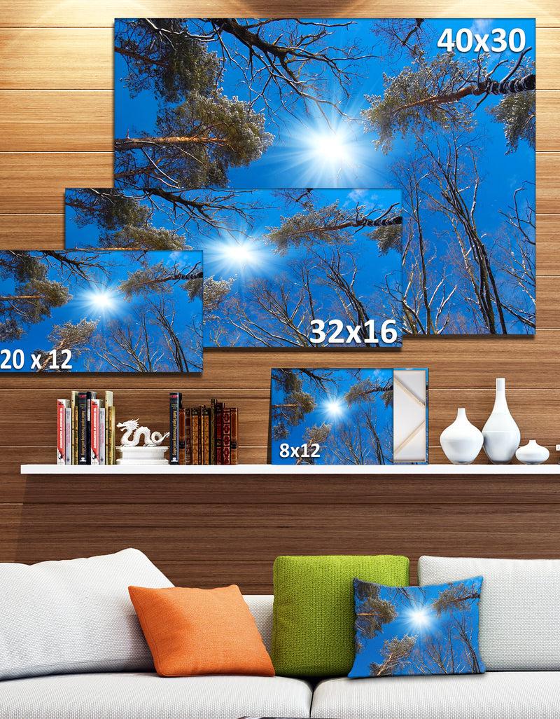 DesignQ Bright Sun In The Tree Top Circle - Modern Forest Canvas Wall Art