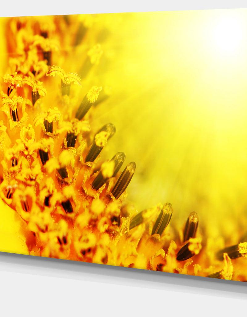 DesignQ Bright Yellow Sunflower Close-Up - Floral Artwork On Canvas