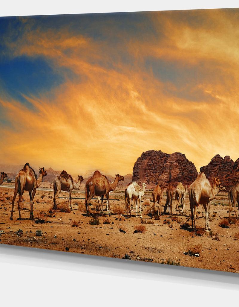 DesignQ Camels In Wadi Rum Photography Canvas Art Print