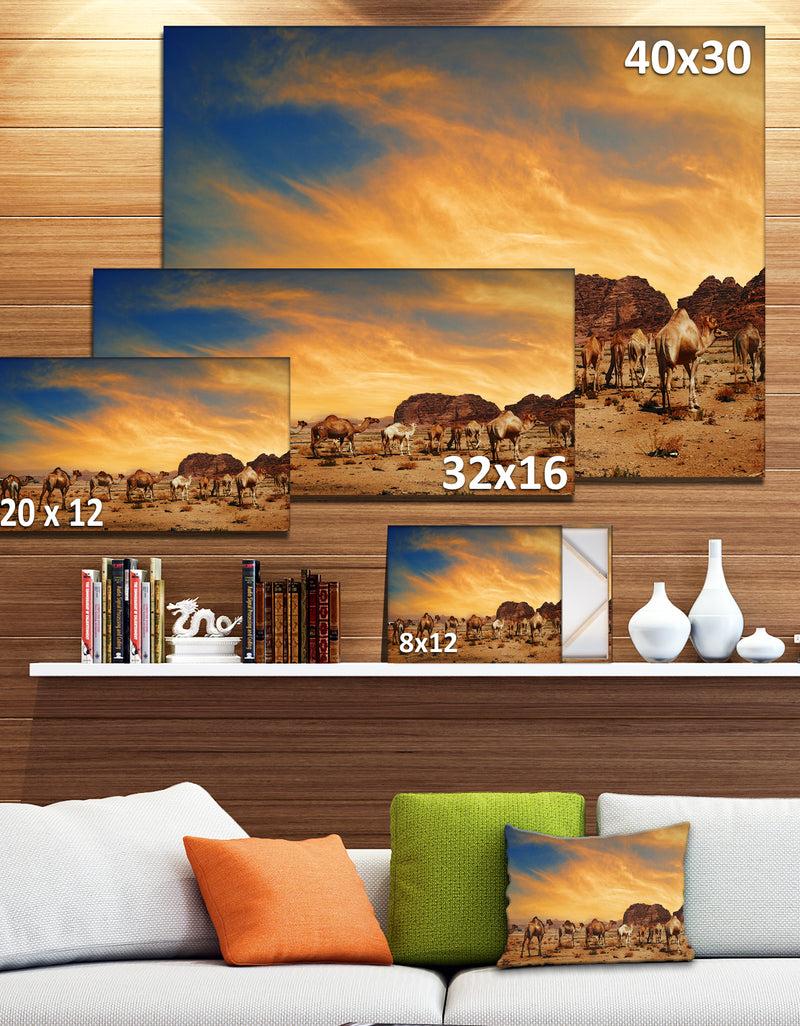 DesignQ Camels In Wadi Rum Photography Canvas Art Print