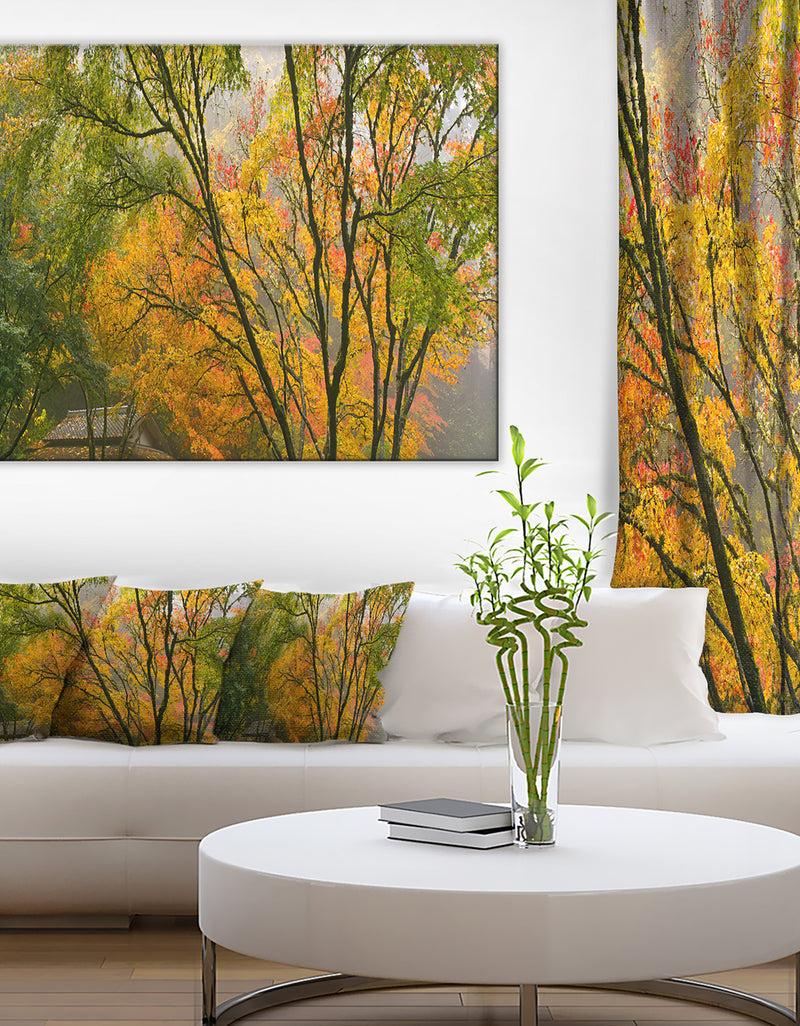 DesignQ Canopy of Maple Trees in Fall Floral Photo Canvas Print