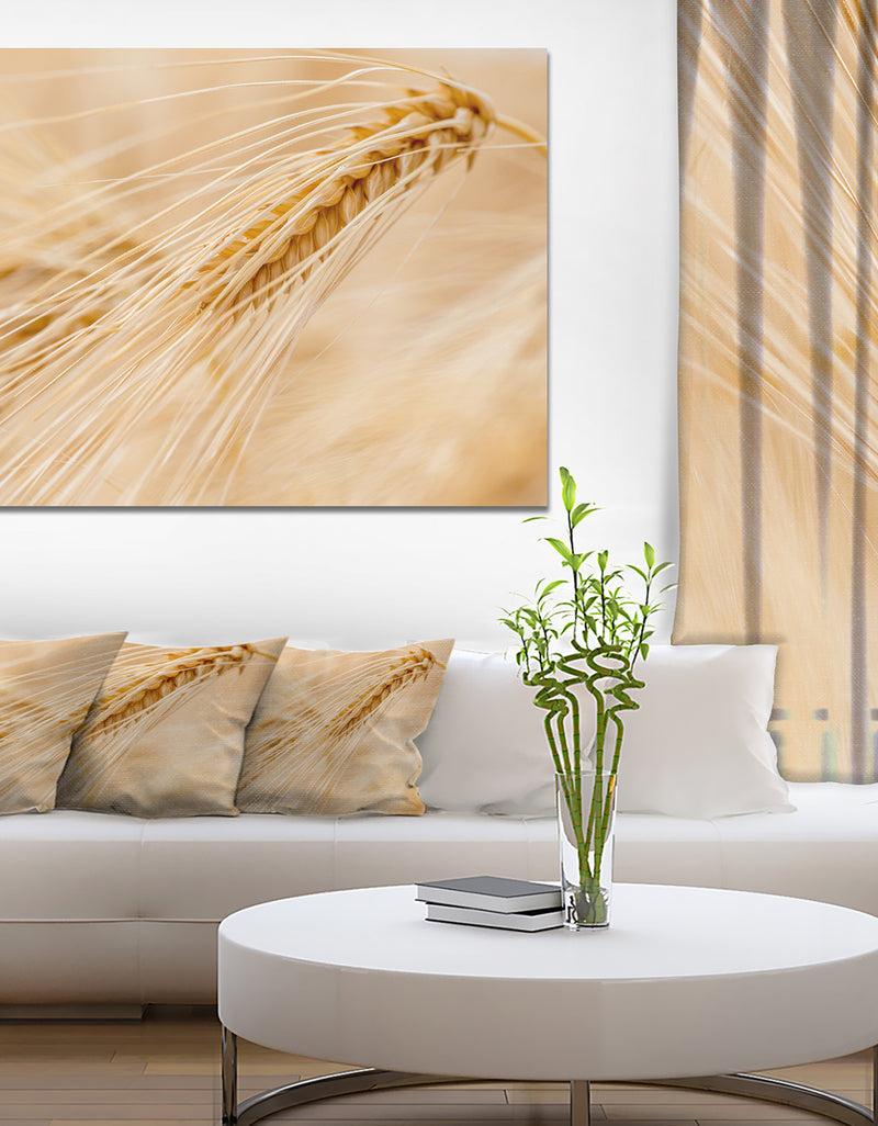 DesignQ Cereal Plants Barley - Floral Canvas Wall Art