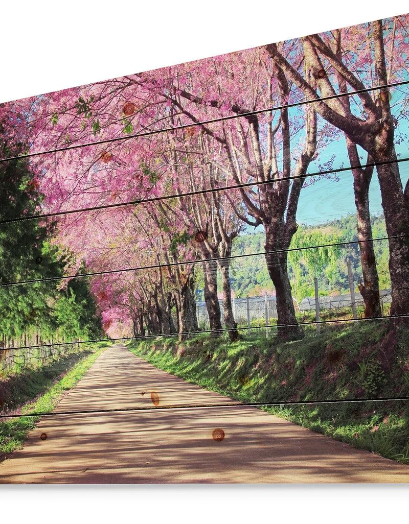 DesignQ Cherry Blossom Pathway In Chiang Mai - Landscape Print On Natural Pine Wood
