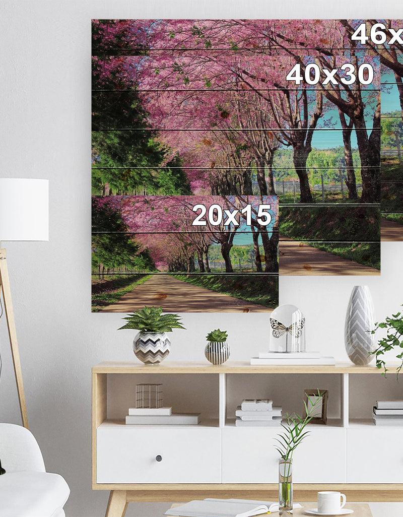 DesignQ Cherry Blossom Pathway In Chiang Mai - Landscape Print On Natural Pine Wood