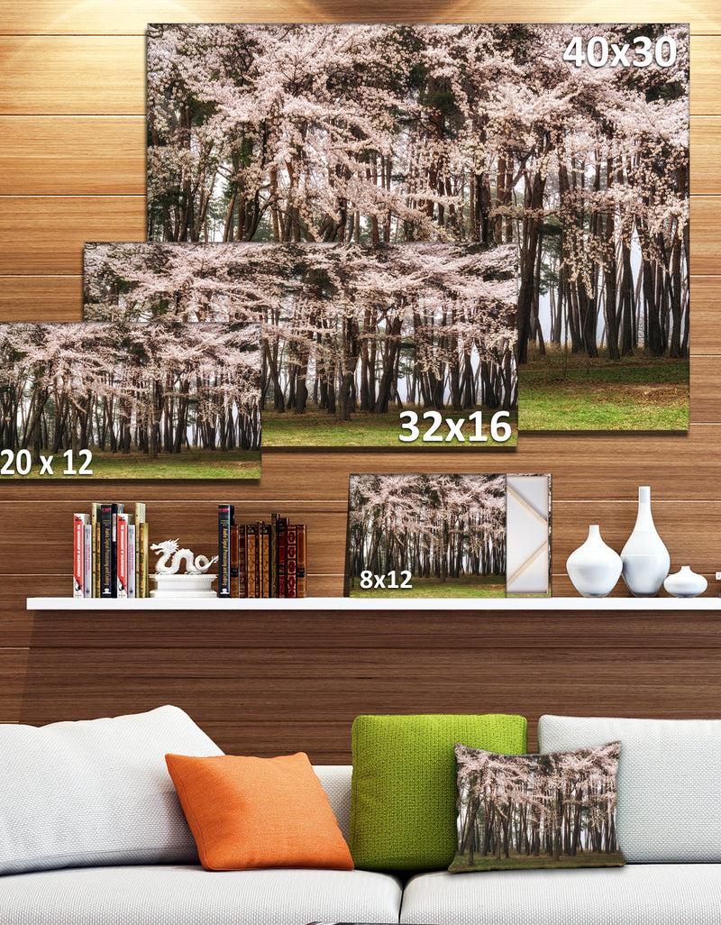 DesignQ Cherry Blossoms In Pine Tree - Extra Large Landscape Canvas Art Print