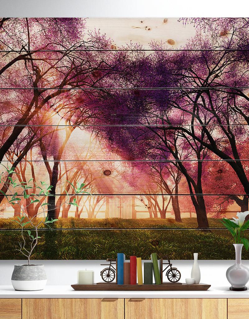 DesignQ Cherry Blossoms Japan Garden - Landscape Print on Natural Pine Wood