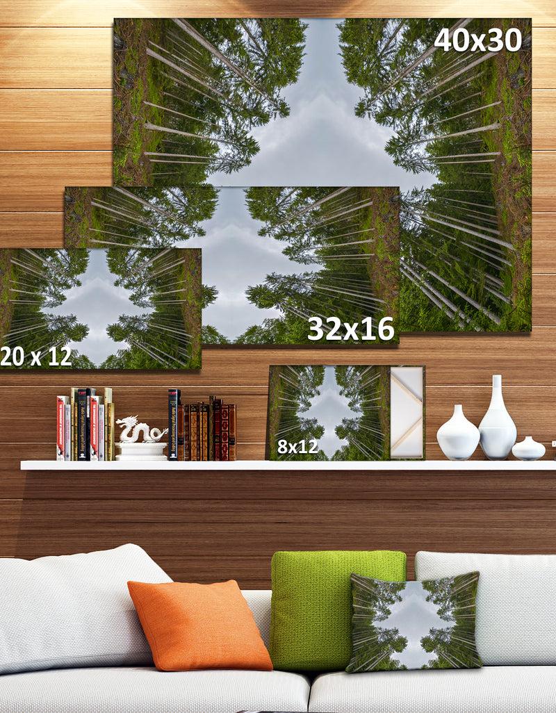 DesignQ Circle Composition Of Coniferous Trees - Landscape Wall Art On Canvas