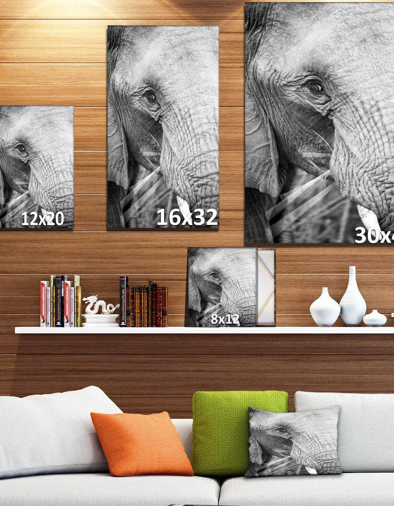 DesignQ Close Up Of An Elephant Eating - Africa Animals Photography On Wrapped Canvas