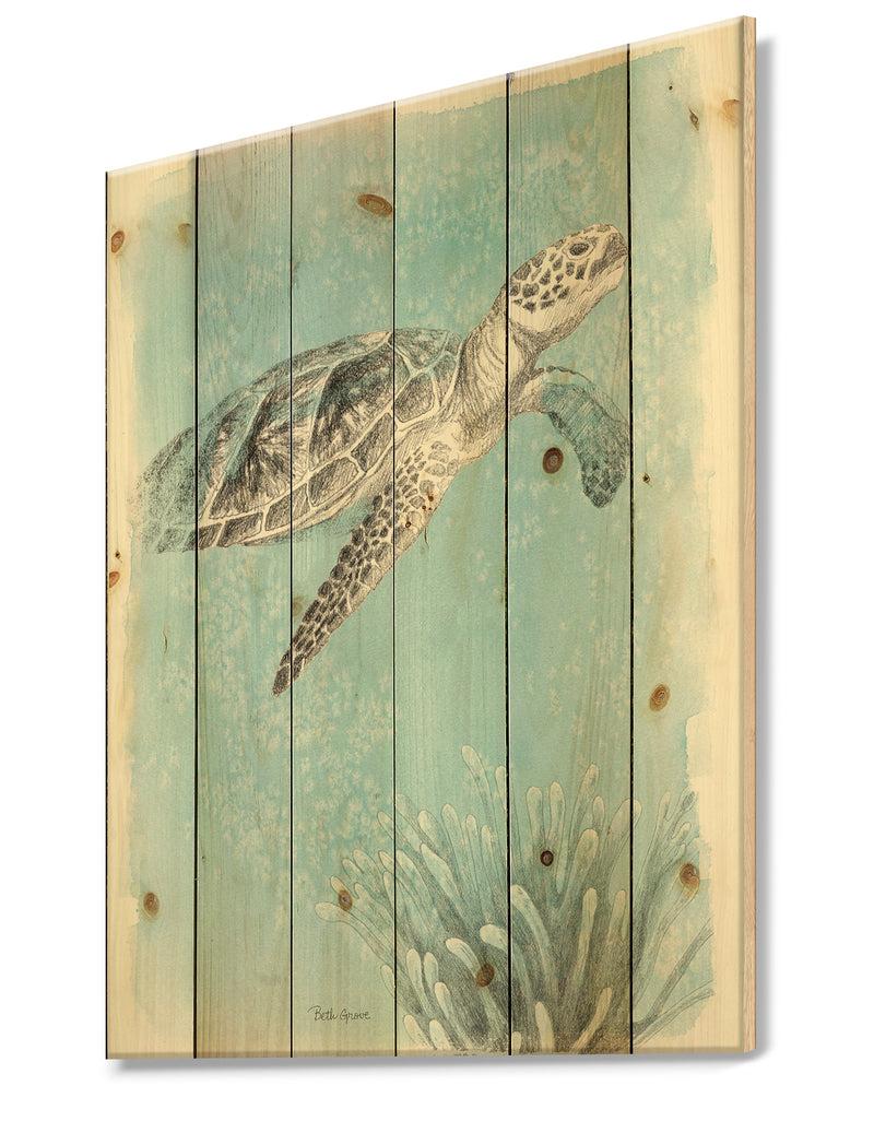 DesignQ Coastal Sea Life I Turtle Sketches - Nautical & Coastal Print On Natural Pine Wood
