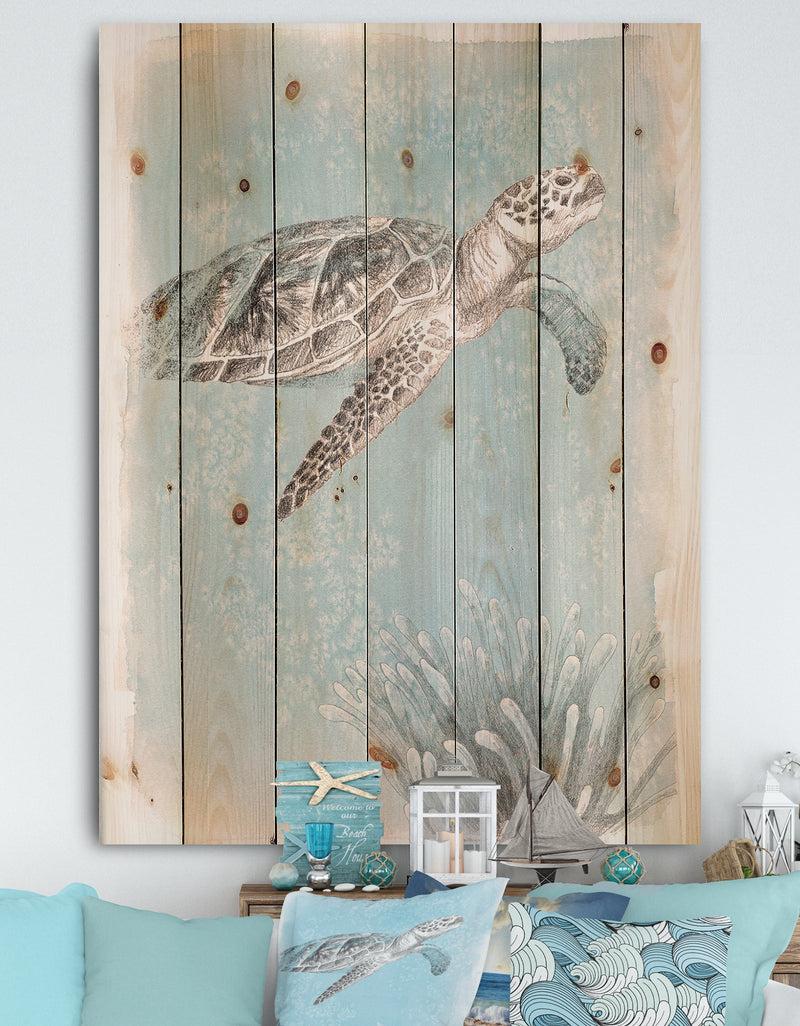 DesignQ Coastal Sea Life I Turtle sketches - Nautical & Coastal Print on Natural Pine Wood