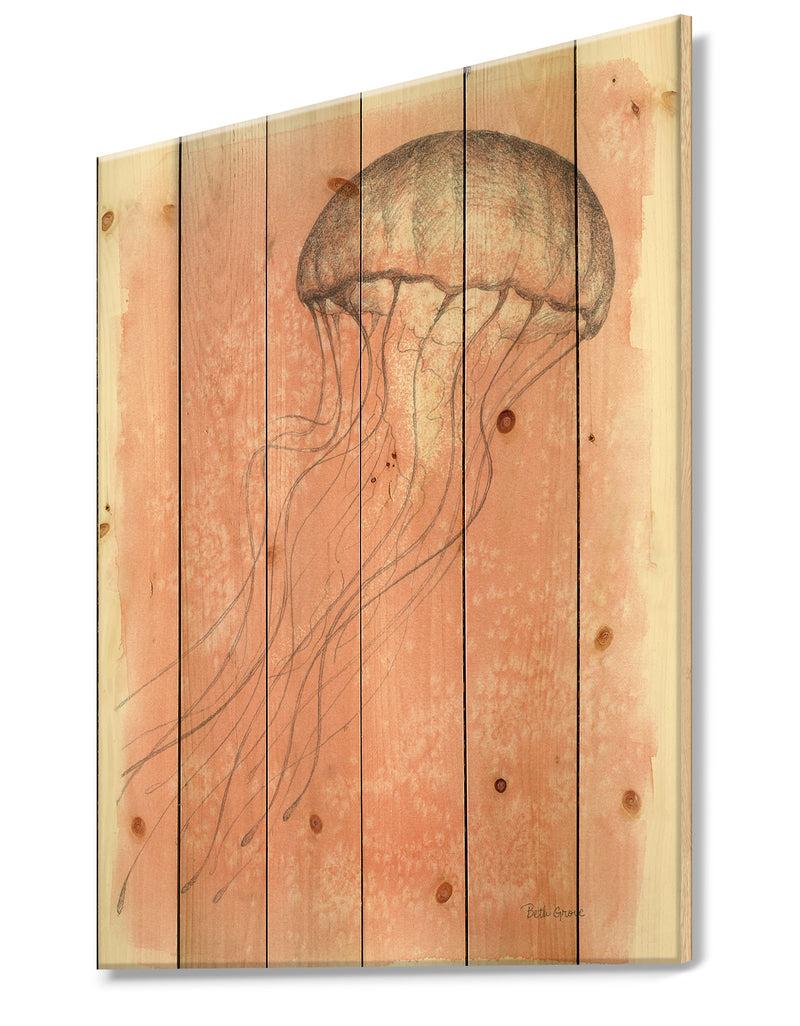 DesignQ Coastal Sea Life IV Jellyfish Sketches - Nautical & Coastal Print On Natural Pine Wood