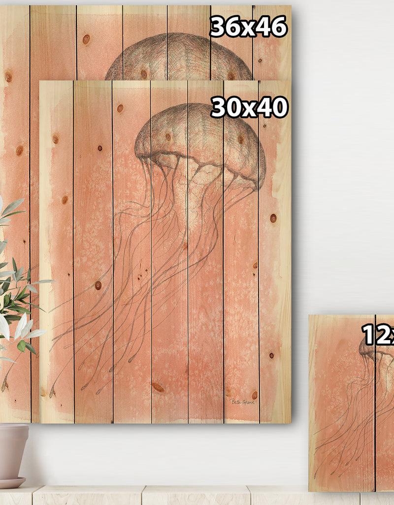 DesignQ Coastal Sea Life IV Jellyfish Sketches - Nautical & Coastal Print On Natural Pine Wood