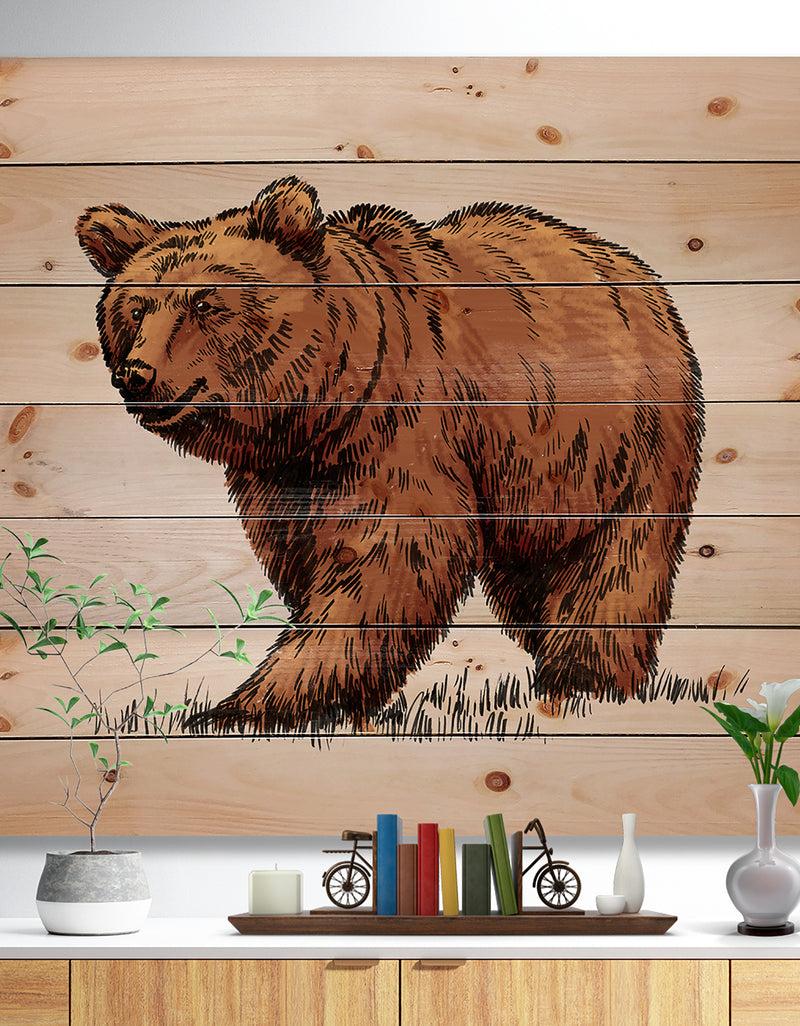 DesignQ Color engrave isolated grizzly bear - Animals Painting Print on Natural Pine Wood