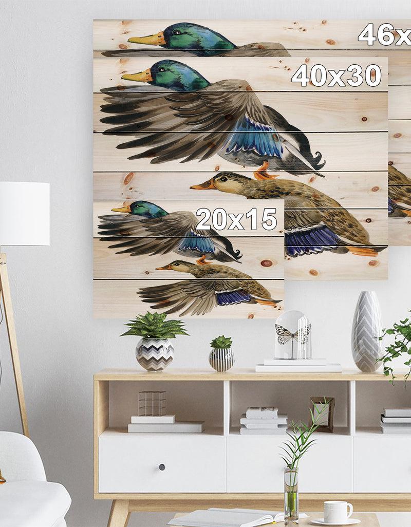 DesignQ Colored Duck Isolated On White Background - Sketch Of Farmhouse Animals Of Painting Print On Natural Pine Wood