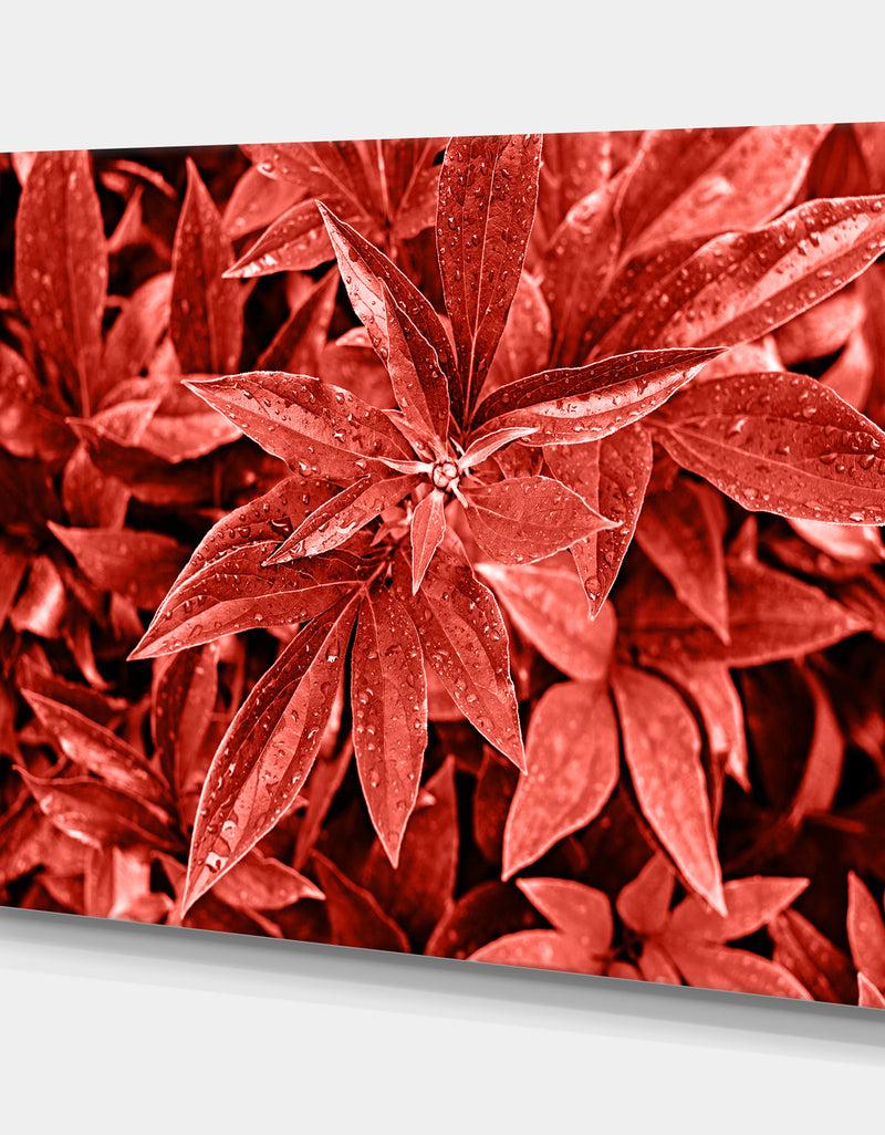 DesignQ Colored Fresh Peony Leaves With Dew - Tropical Canvas Wall Art