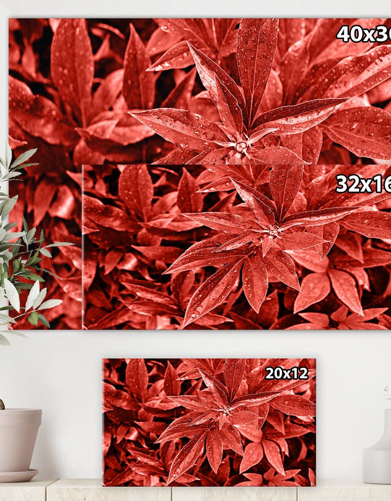 DesignQ Colored Fresh Peony Leaves With Dew - Tropical Canvas Wall Art