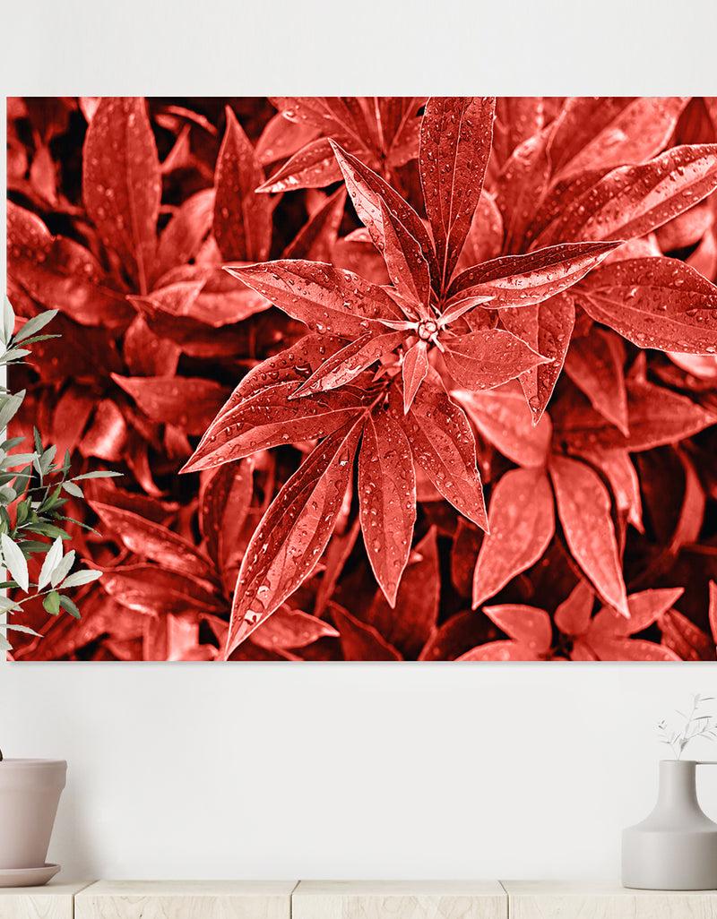 DesignQ Colored fresh peony leaves with dew - Tropical Canvas Wall Art