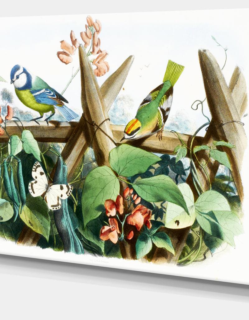 DesignQ Colorful Birds Sitting On Branches - Animal Canvas Art Print