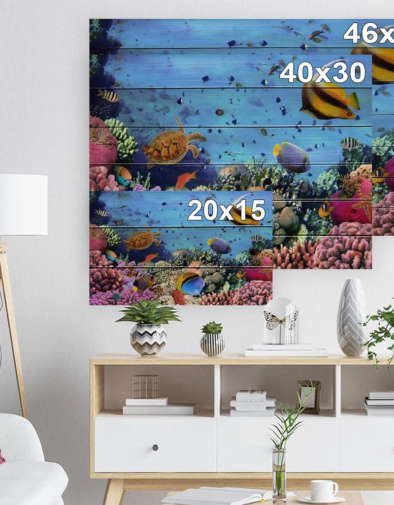 DesignQ Coral Colony On Reef Egypt - Animal Print On Natural Pine Wood