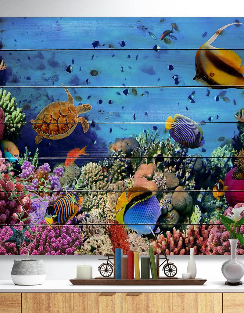 DesignQ Coral Colony on Reef Egypt - Animal Print on Natural Pine Wood