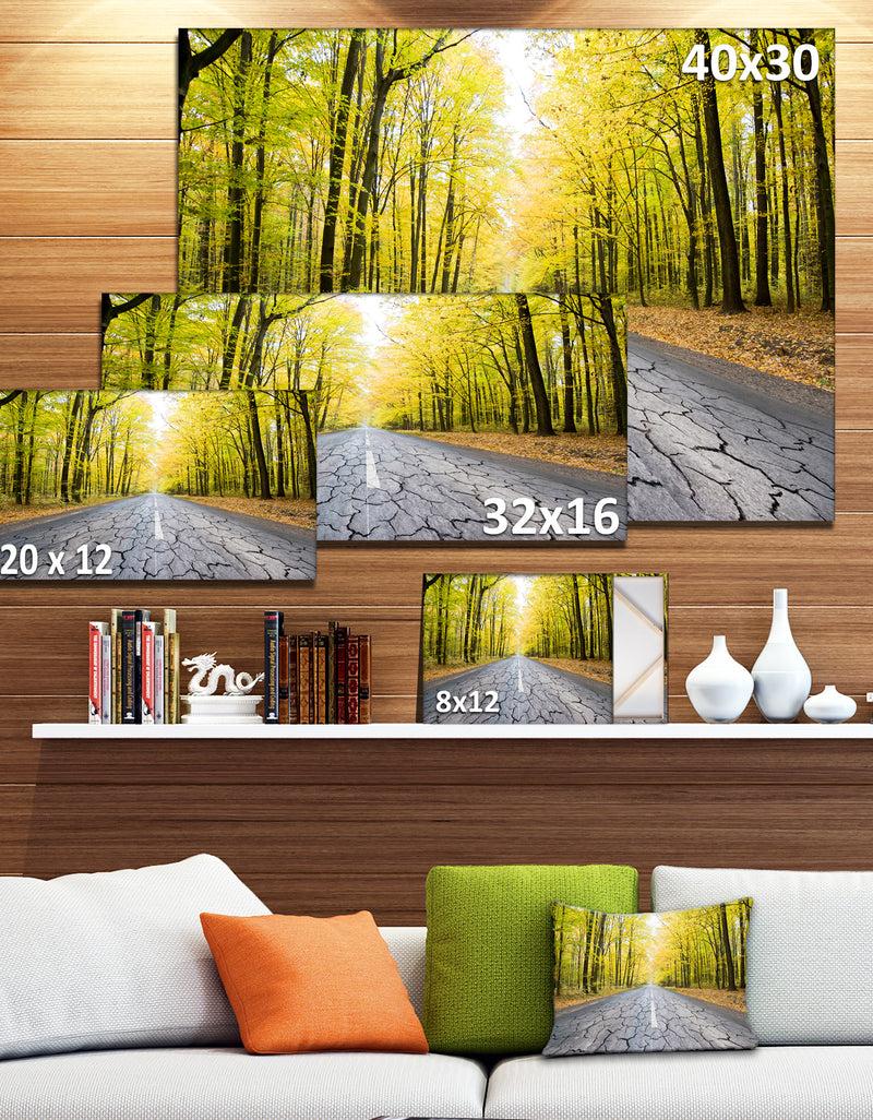 DesignQ Cracked Road In The Forest - Extra Large Landscape Canvas Art Print