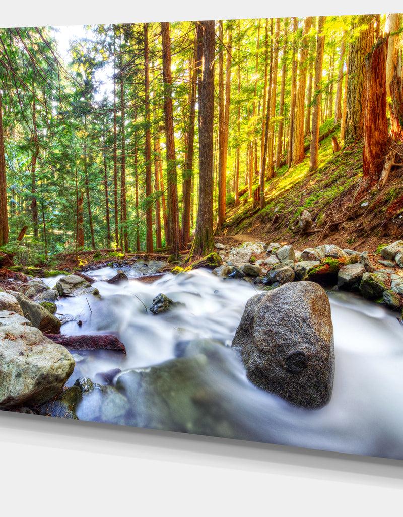 DesignQ Creek Flowing Through Forest - Landscape Artwork Canvas Print