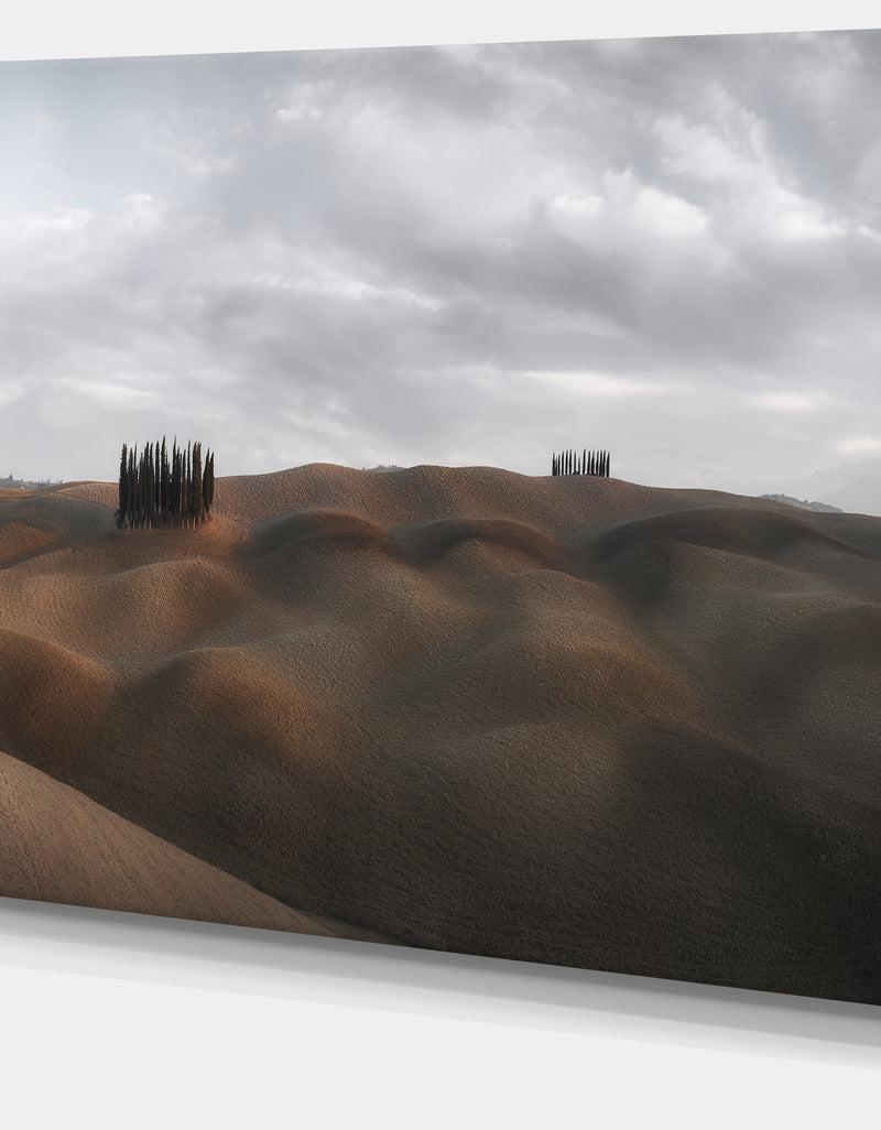 DesignQ Cypress Grove At The Field Panorama - Landscape Art Canvas Print