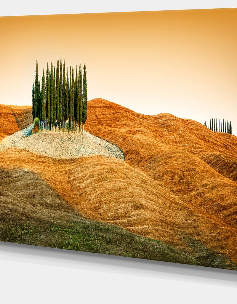 DesignQ Cypress Grove Panorama - Landscape Canvas Wall Artwork