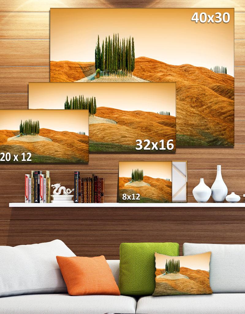 DesignQ Cypress Grove Panorama - Landscape Canvas Wall Artwork