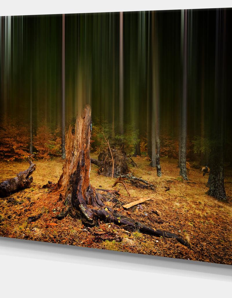 DesignQ Dark Fall Forest On Foggy Morning - Large Landscape Canvas Art Print
