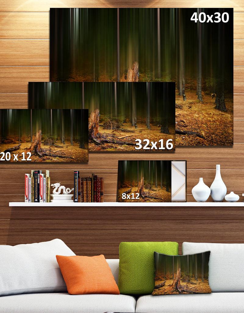 DesignQ Dark Fall Forest On Foggy Morning - Large Landscape Canvas Art Print