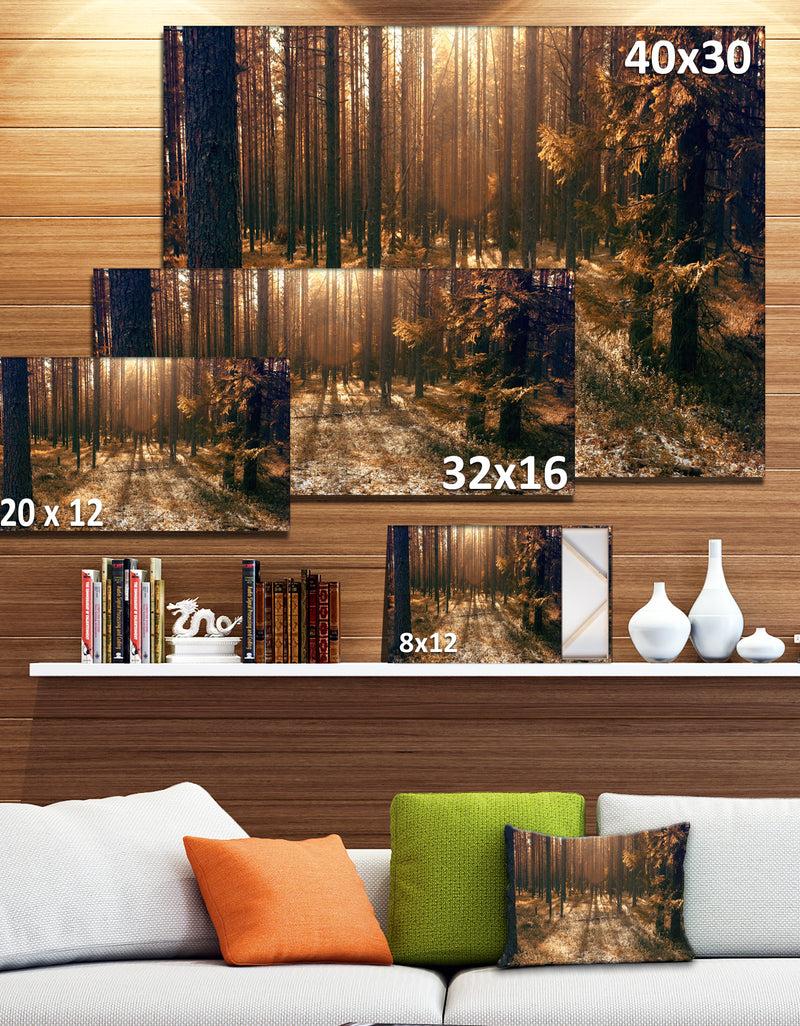 DesignQ Dark First Snow Forest Photo - Modern Forest Canvas Art