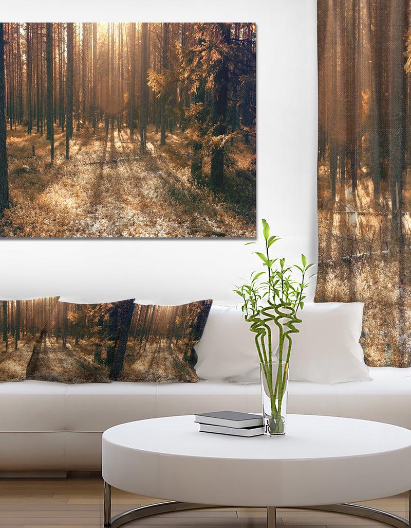 DesignQ Dark First Snow Forest Photo - Modern Forest Canvas Art