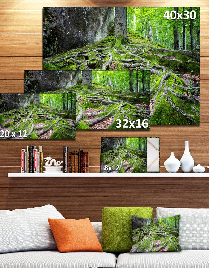 DesignQ Deep Moss Forest In Ukraine - Landscape Art Print Canvas