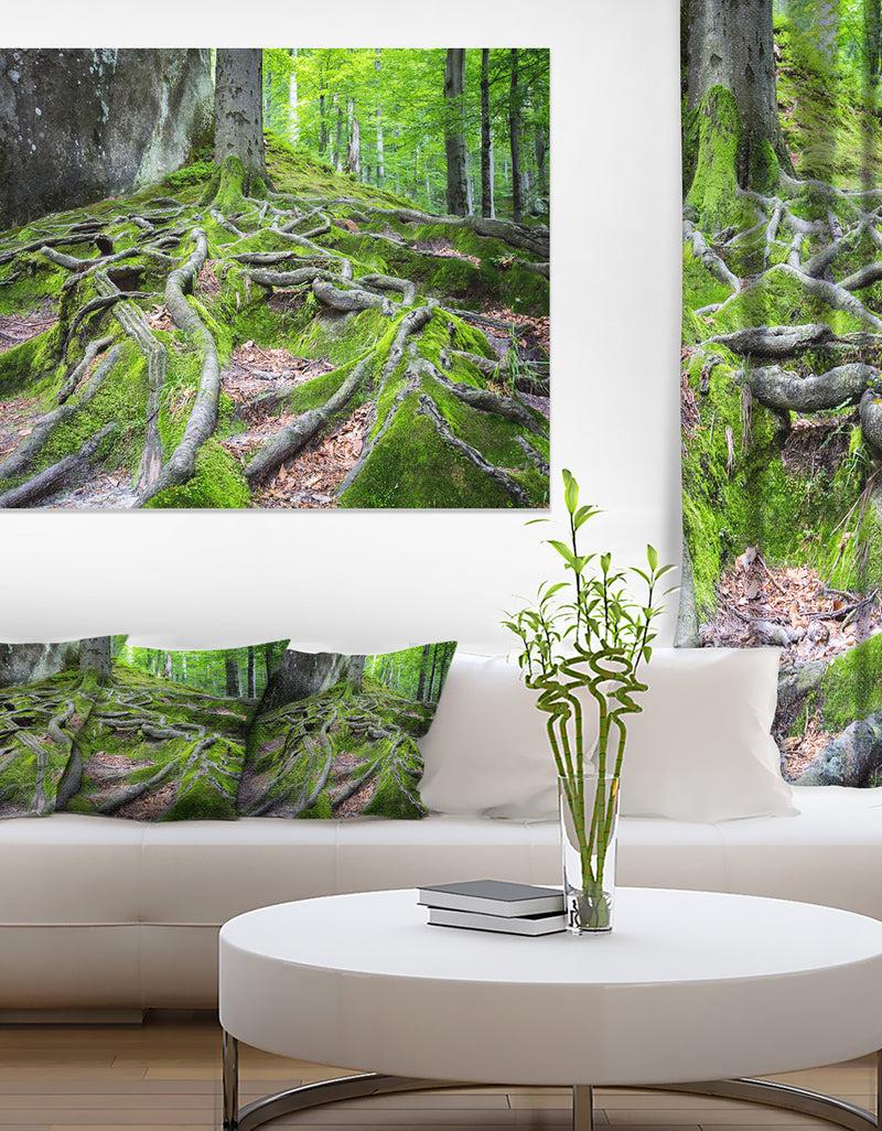 DesignQ Deep Moss Forest in Ukraine - Landscape Art Print Canvas