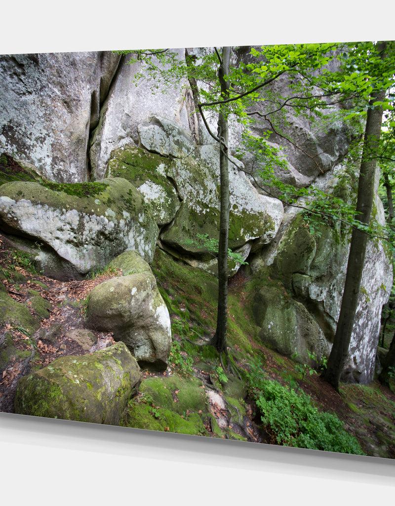 DesignQ Deep Moss Forest With Rocks - Landscape Art Print Canvas