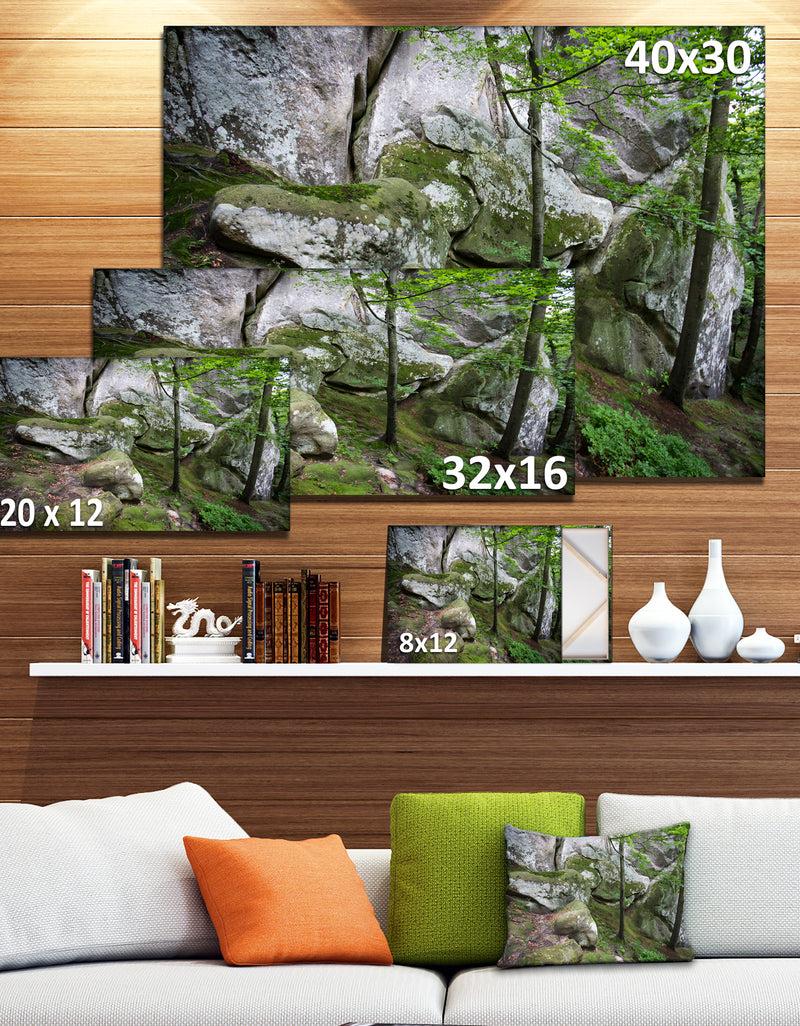DesignQ Deep Moss Forest With Rocks - Landscape Art Print Canvas