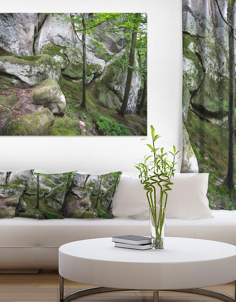 DesignQ Deep Moss Forest with Rocks - Landscape Art Print Canvas