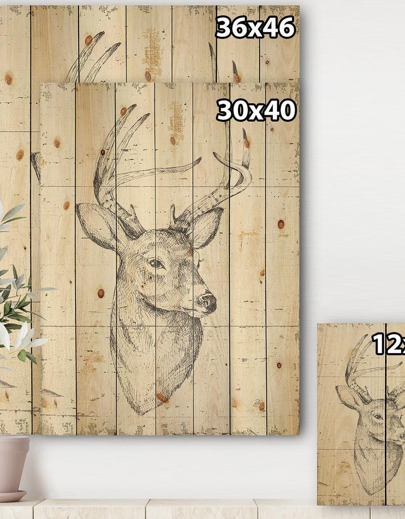 DesignQ Deer Wild And Beautiful II - Wildlife Animal Print On Natural Pine Wood