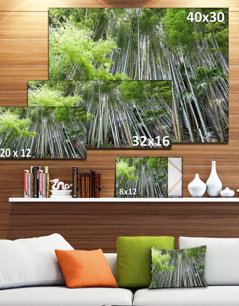 DesignQ Dense Bamboo Forest Of Japan - Forest Canvas Wall Art Print