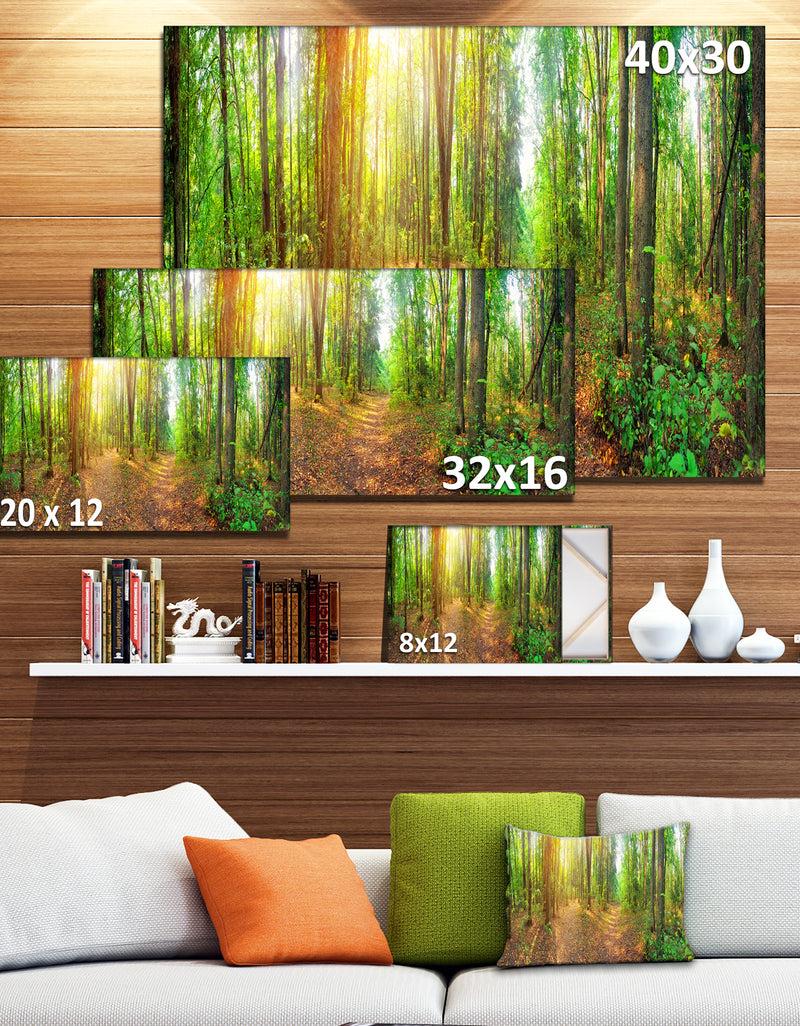 DesignQ Dense Forest Panorama - Landscape Canvas Wall Artwork