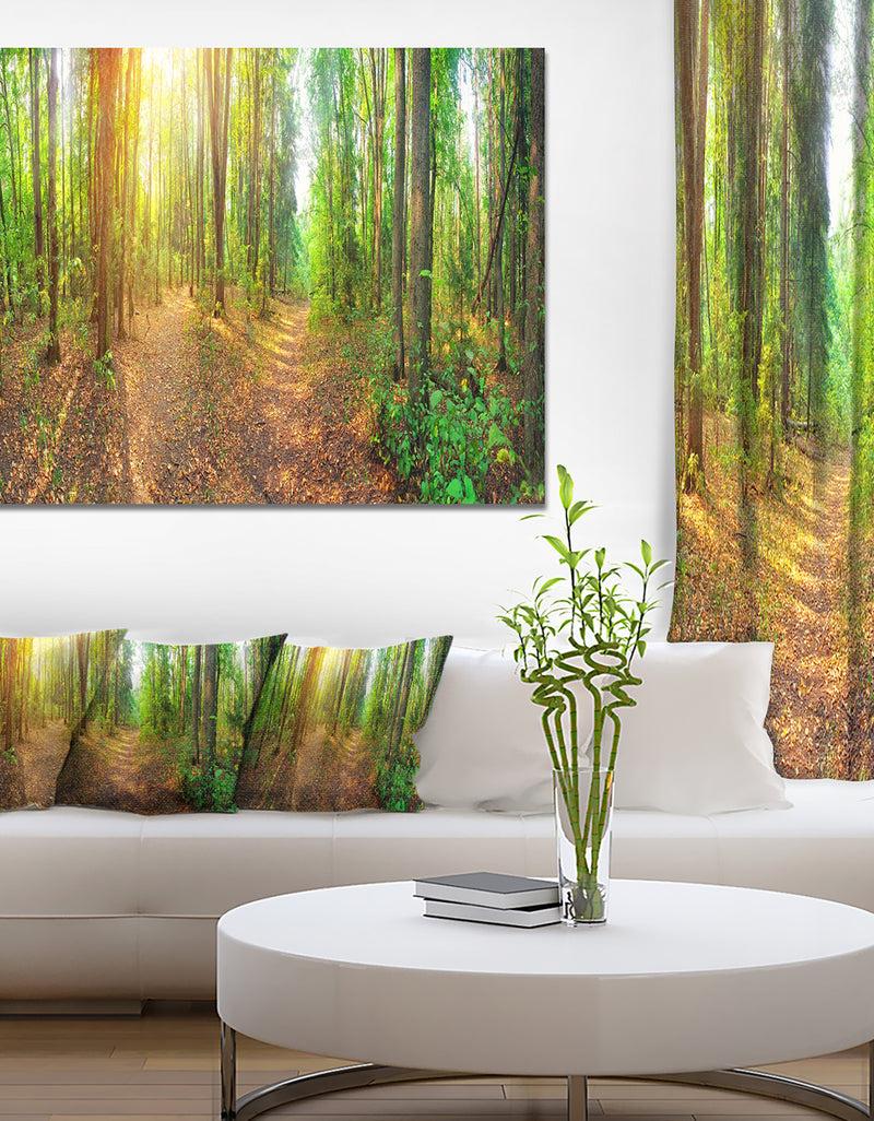DesignQ Dense Forest Panorama - Landscape Canvas Wall Artwork