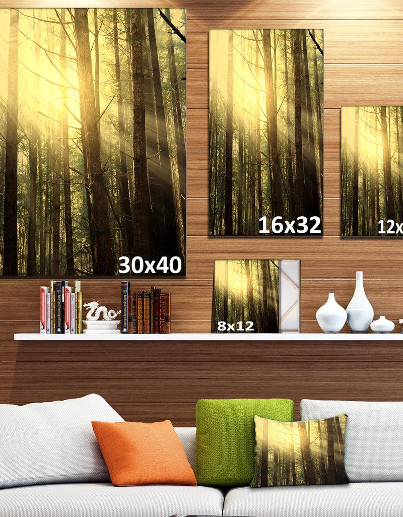 DesignQ Dense Green Sunny Forest - Landscape Art Print Canvas