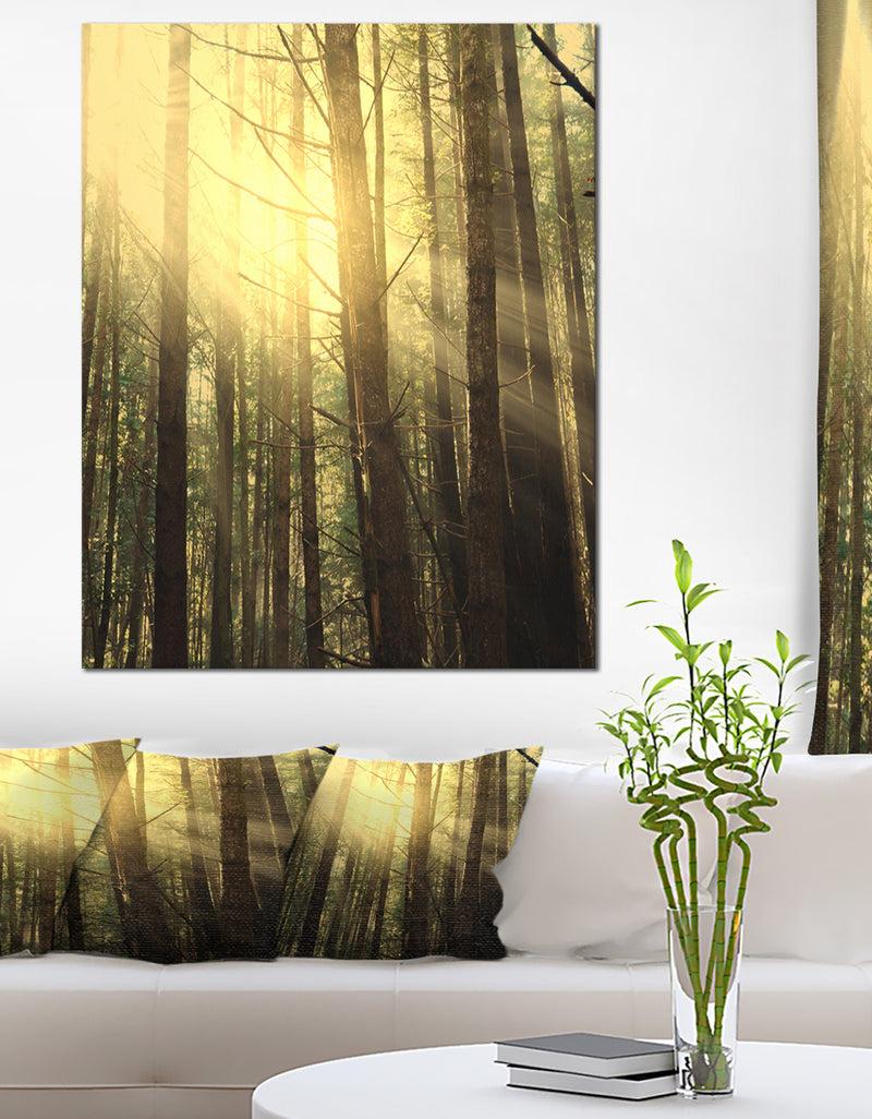 DesignQ Dense Green Sunny Forest - Landscape Art Print Canvas