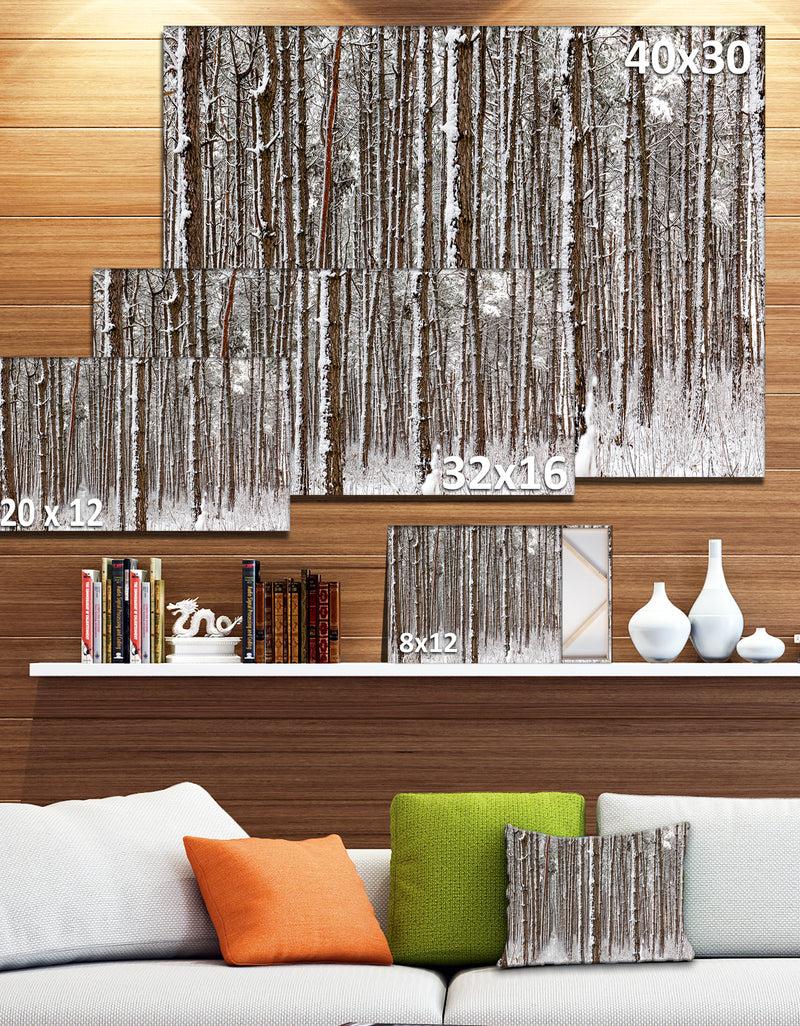 DesignQ Dense Pine Forest In Winter - Large Landscape Canvas Art Print