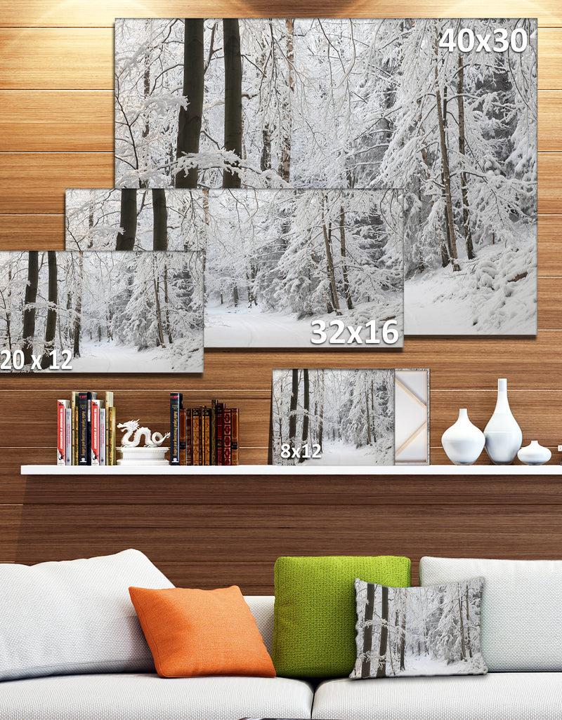 DesignQ Dense Winter Forest And Lane - Large Forest Artwork Canvas